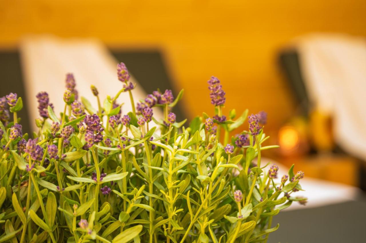 Wellness Mitten In Der Wasserfallstadt Triberg トリベルク エクステリア 写真